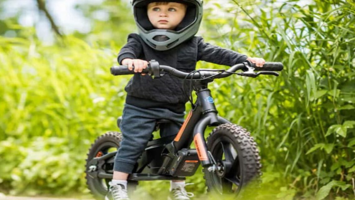 Type and Description: What is a Childs E-Bike?